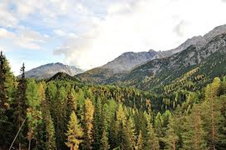 Nationalpark erweitert Schutzgebiet für bedrohte Arten