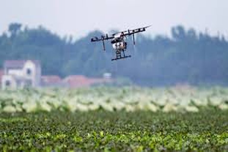 Künstliche Intelligenz unterstützt Schweizer Landwirtschaft
